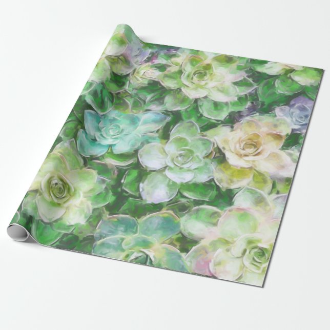 Papel De Regalo Succulents que pintan por Cindy Bendel (Desenrollado)