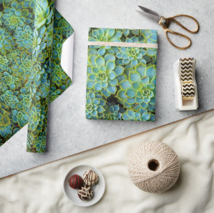 Papel De Regalo Suculentos Saludables Verdes Plantas Echeveria