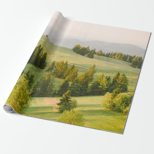 Papel De Regalo summer mountains green grass and blue sky landscap (Desenrollado)