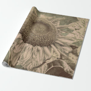 Papel De Regalo Sunflower Sepia Tone Tone Brown Art Decoupage