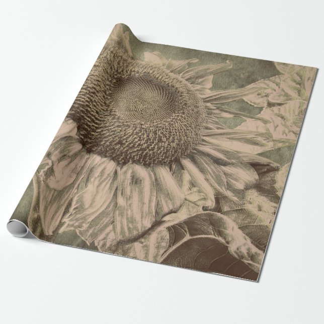 Papel De Regalo Sunflower Sepia Tone Tone Brown Art Decoupage (Desenrollado)