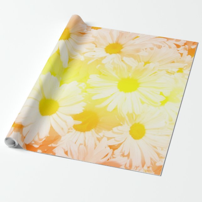 Papel De Regalo Sunshine Daisies (Desenrollado)