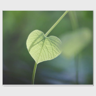 Papel De Regalo "Susurros de la naturaleza - La hoja verde"