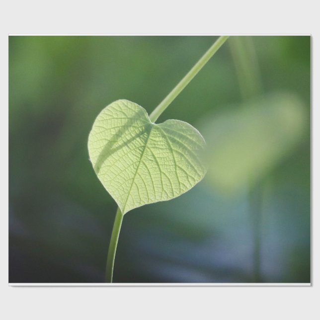 Papel De Regalo "Susurros de la naturaleza - La hoja verde" (Superficie plana)