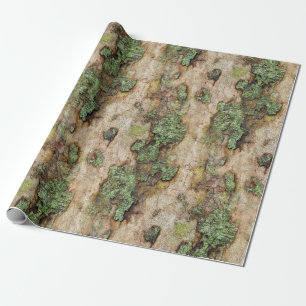 Papel De Regalo Sycamore Tree Bark Moss Lichen