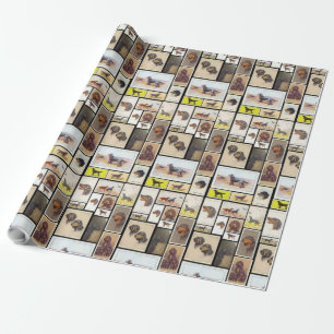 Papel De Regalo Tarjetas del cigarrillo del organismo de Gordon