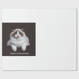 Papel De Regalo Taza de gato - Nacido para ser adorado