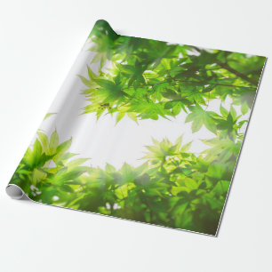 Papel De Regalo Tejido de hoja de árbol de arce