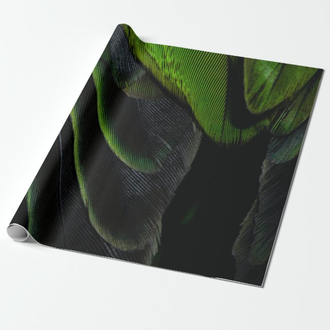 Papel De Regalo Tejidos de chapa verde y negro (Desenrollado)