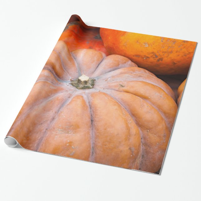 Papel De Regalo Temporada de calabaza (Desenrollado)