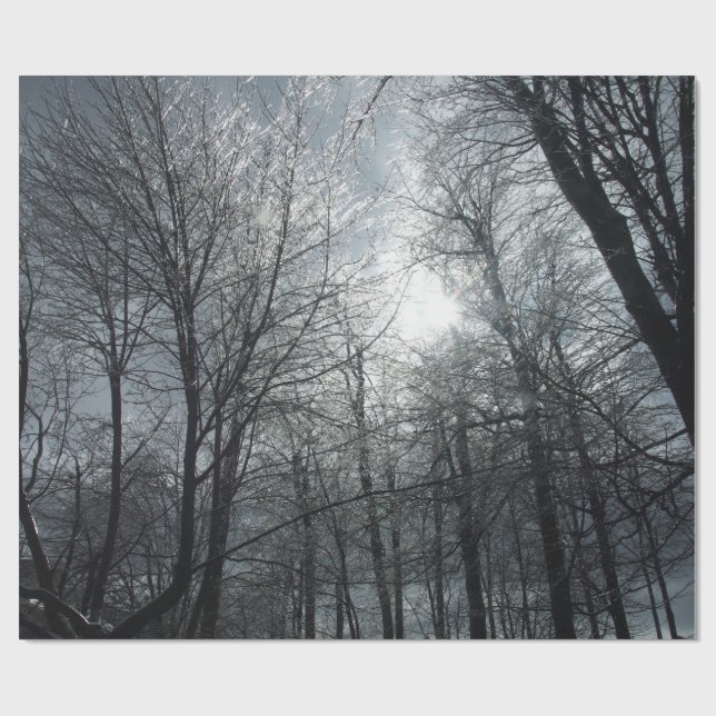 Papel De Regalo Terraza cubierta de hielo (Superficie plana)