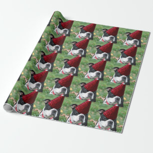 Papel De Regalo Terrier de Boston
