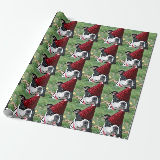 Papel De Regalo Terrier de Boston (Desenrollado)