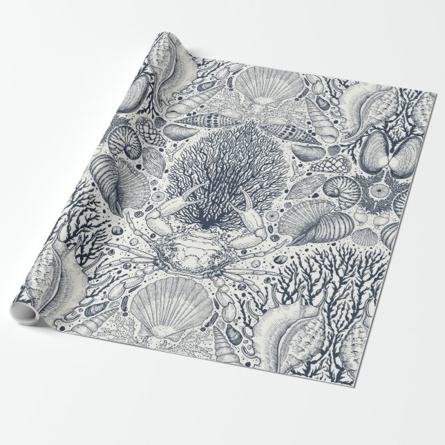 Papel De Regalo Tesoros de playa, conchas marinas, cangrejos, cora (Desenrollado)