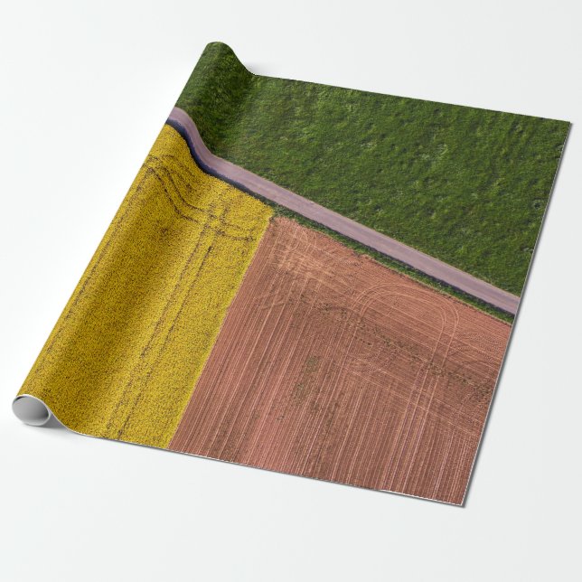 Papel De Regalo Textos amarillos y marrones (Desenrollado)
