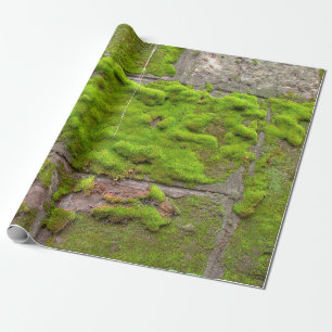 Papel De Regalo Textura de la roca verde de la pared del Moss