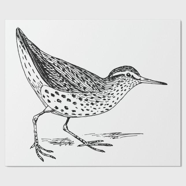 Papel De Regalo Thunder_Cove de Sandpiper (Superficie plana)