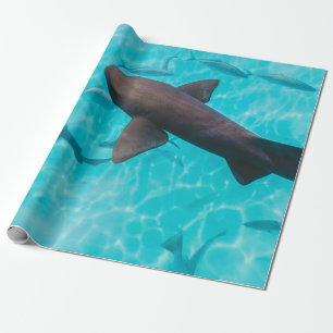 PAPEL DE REGALO TIBURONES EN EL CUERPO DEL AGUA
