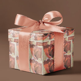 Papel de regalo Tiempo de juego para elefante