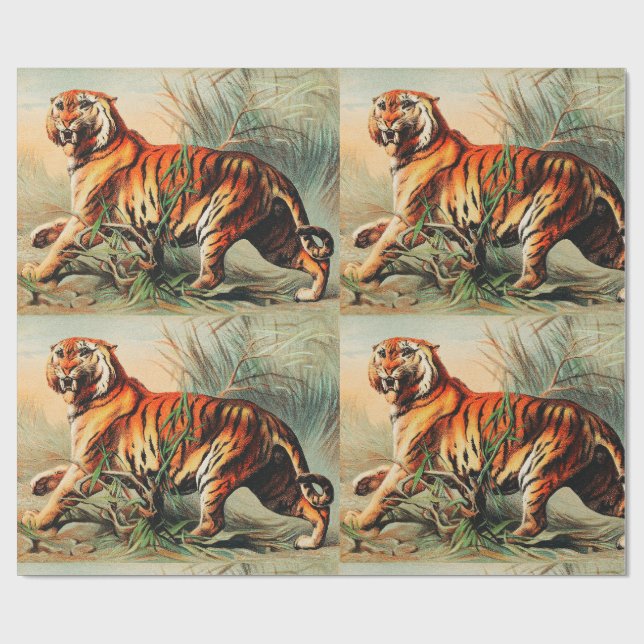 Papel De Regalo Tigre de Bengala Real (Superficie plana)