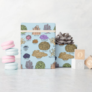 Papel De Regalo Tipos De Coral