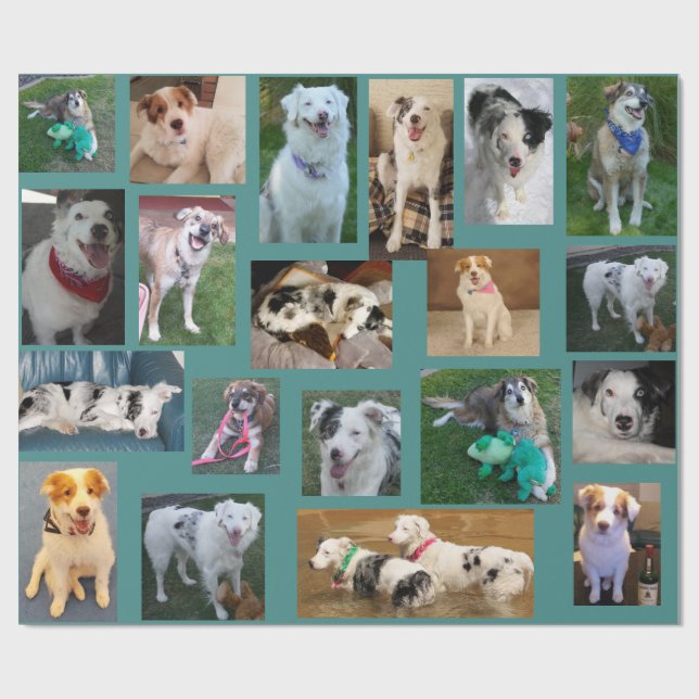 Papel De Regalo Todo el perro que envuelve Paper2 (Superficie plana)