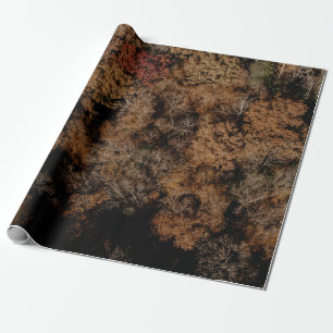 Papel De Regalo Top-view photography of tree