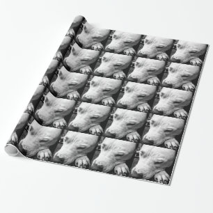 Papel De Regalo toro blanco de cicatrices