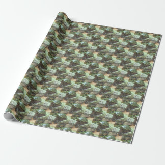 Papel De Regalo Tortuga