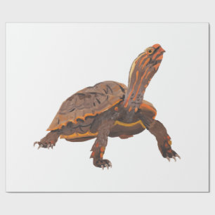 Papel De Regalo Tortuga Copia Copia Copia Copia Copia Copia Copia