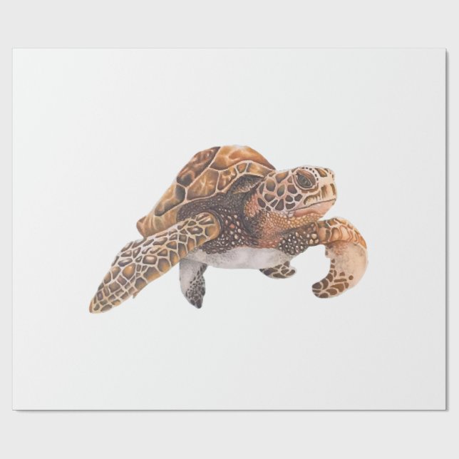 Papel De Regalo Tortuga Copiar Copiar Copiar Copiar Copiar Copiar  (Superficie plana)