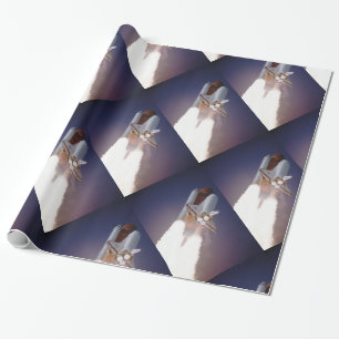 Papel De Regalo Transbordador espacial