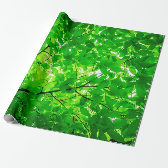 Papel De Regalo Tree leaf twig texture pattern (Desenrollado)