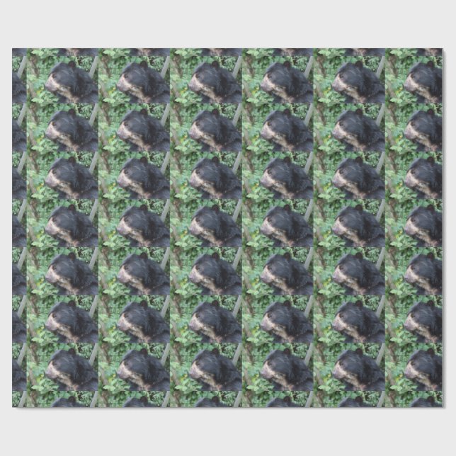 Papel De Regalo Tremarctos ornatus (Superficie plana)