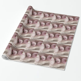 Papel De Regalo Tres Cosmos Rosa