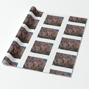 Papel De Regalo "Tres en fila"