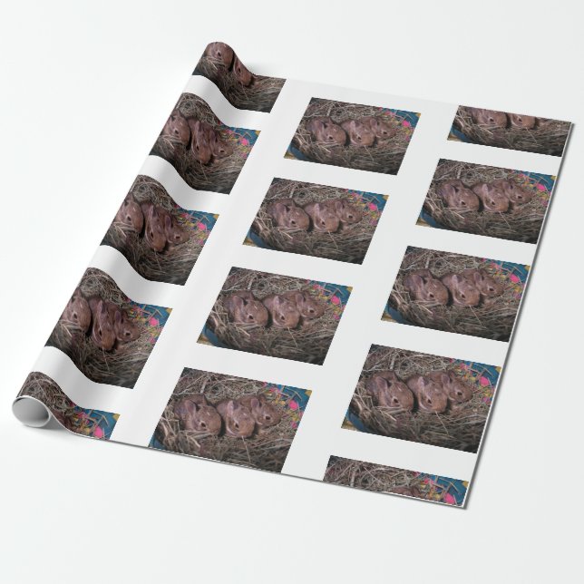 Papel De Regalo "Tres en fila" (Desenrollado)