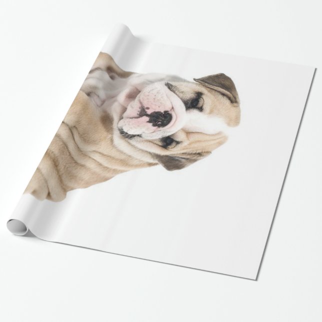 Papel De Regalo Triste Bulldog de cachorros (Desenrollado)
