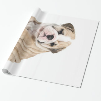 Papel De Regalo Triste Bulldog de cachorros