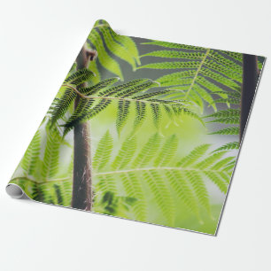 Papel De Regalo  Tropical verde