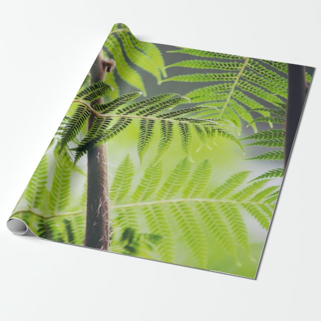 Papel De Regalo  Tropical verde (Desenrollado)