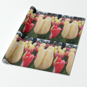 Papel De Regalo Tulipanes amarillos y rojos