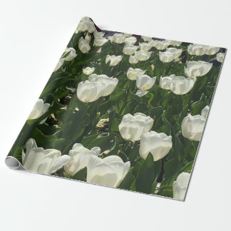 Papel De Regalo Tulipanes blancos para una flor delicada