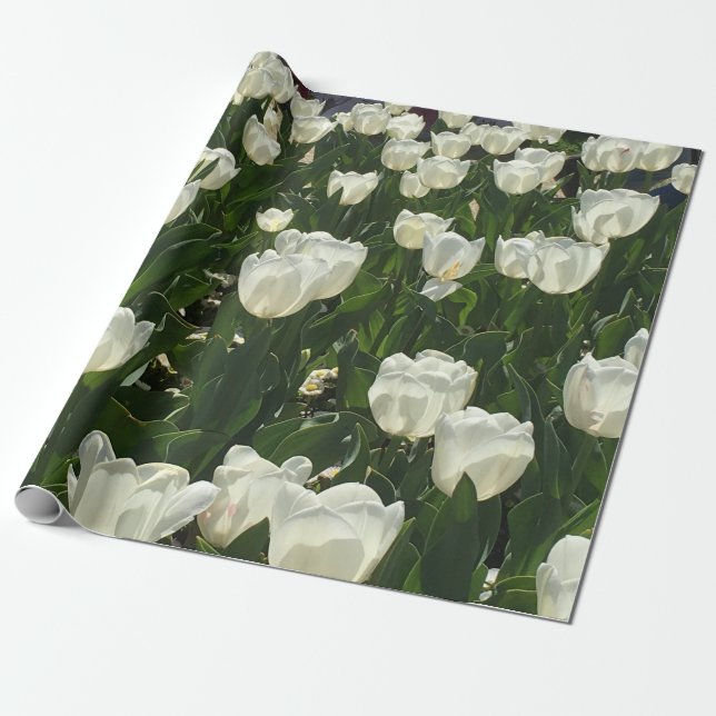 Papel De Regalo Tulipanes blancos para una flor delicada