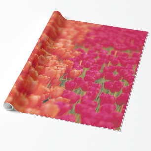 Papel De Regalo Tulipanes naranja y rosa