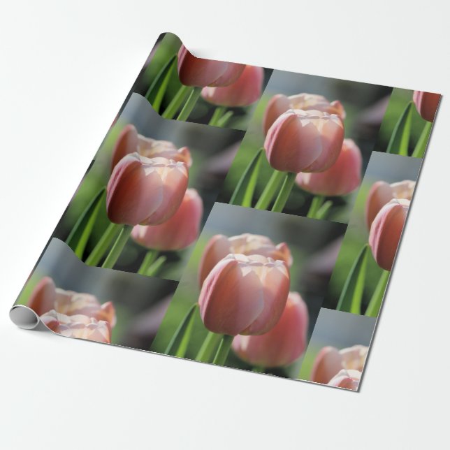 Papel De Regalo Tulipanes rosados (Desenrollado)