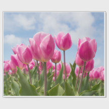 Papel de regalo Tulipanes Rosas