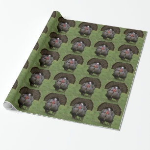 Papel De Regalo Turquía