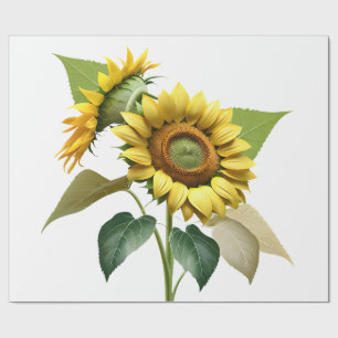 Papel De Regalo Two Vibrant Sunflowers with Lush Green Leaves