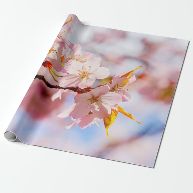 Papel De Regalo Un Bonito Montón De Flores De Sakura Sobre Un Fond (Desenrollado)